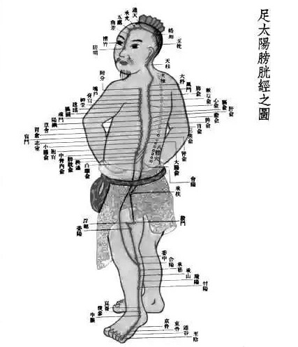 湿气寒气重的表现症状,寒气重舌苔的表现有哪些