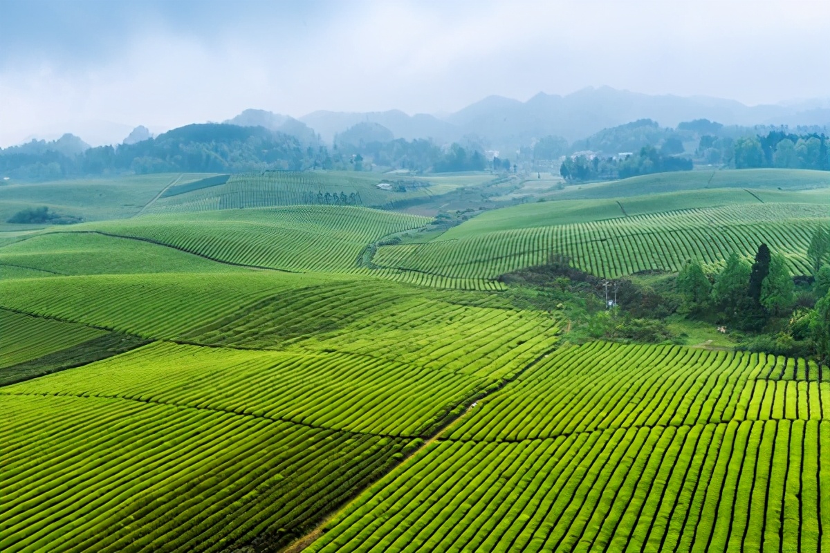 多彩贵州旅游品牌,多彩贵州酒名片