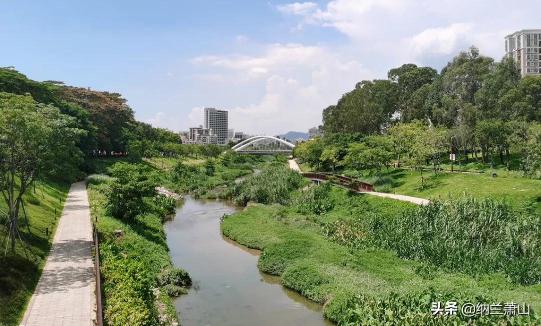 西丽综合枢纽,西丽枢纽中标单位公示