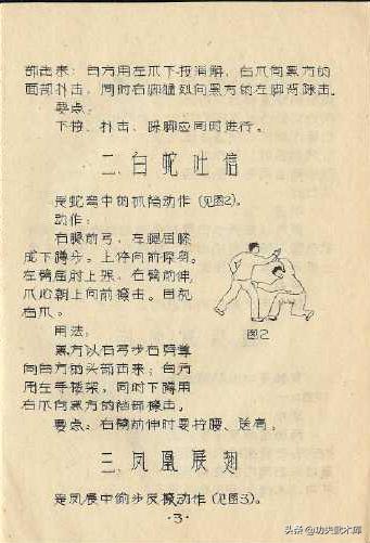 失传已久的古少林迷踪拳秘籍,少林十三抓拳谱