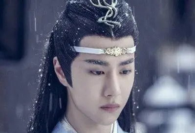 陈情令蓝氏3000条家规,陈情令蓝氏家规图片