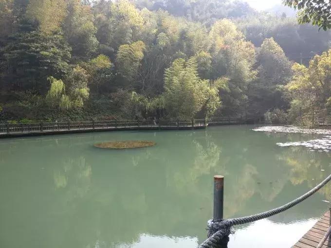 上海去桃花岛的自驾轮渡时间表,上海开车去舟山桃花岛怎么去