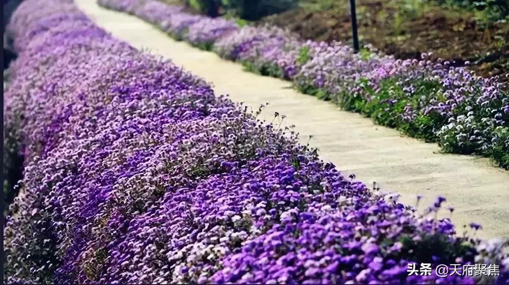 仁寿夏季旅游景区,2020仁寿旅游