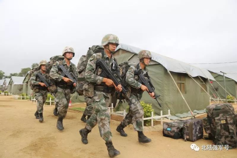 我是*用军**帐篷佩奇！一起来认识我的家族成员吧！