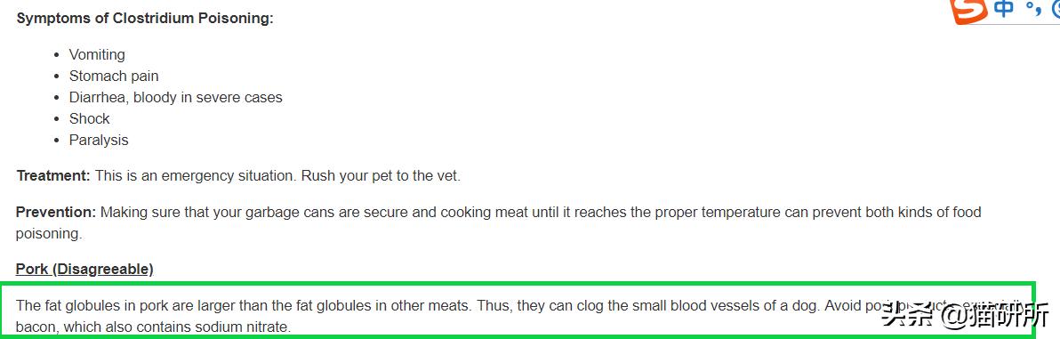 猫咪可以吃猪肉猫粮吗,养猫的你要知道猫咪不能只吃干粮