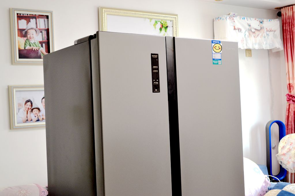 双开门大冰箱价格6万,真正的双开门冰箱价格