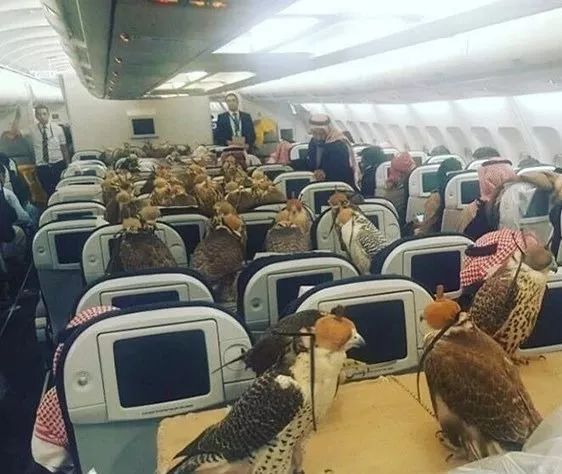 迪拜到底有多有钱,迪拜有多有钱视频