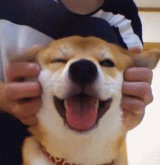 装修小白必看卧室装修攻略,装修小白必看半包装修注意事项