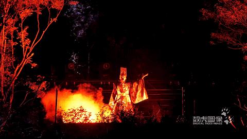 属虎,数虎图像深圳