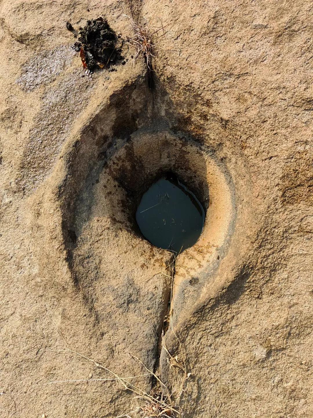 散文|向秋：再访圣水山