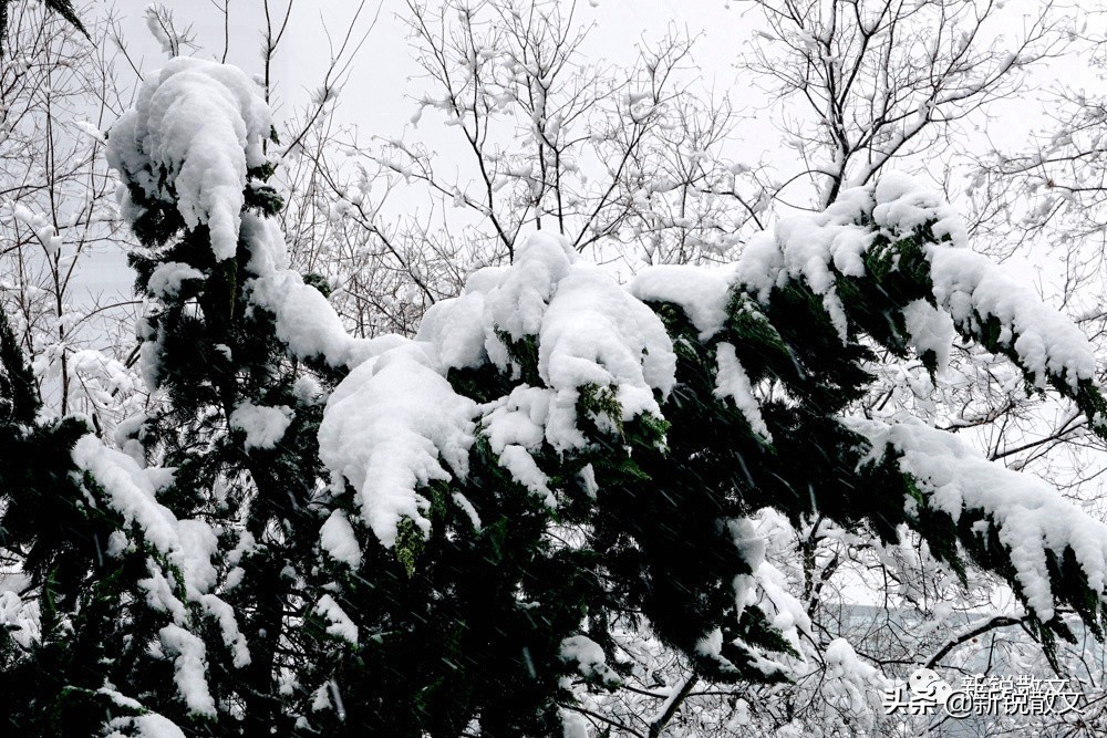 小时候的火盆,儿时的火盆记忆