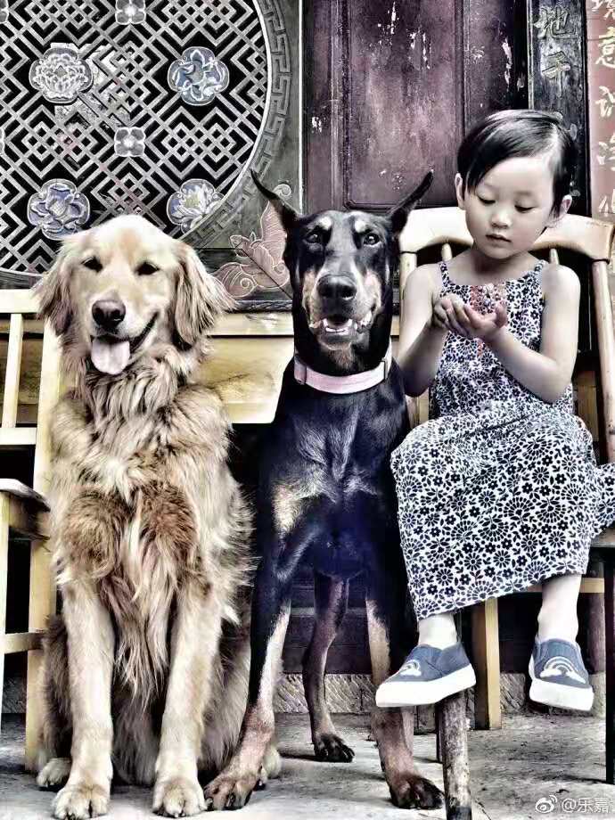 明星育儿经：乐嘉送灵儿去少林寺，张亮说不能直接亲吻女儿