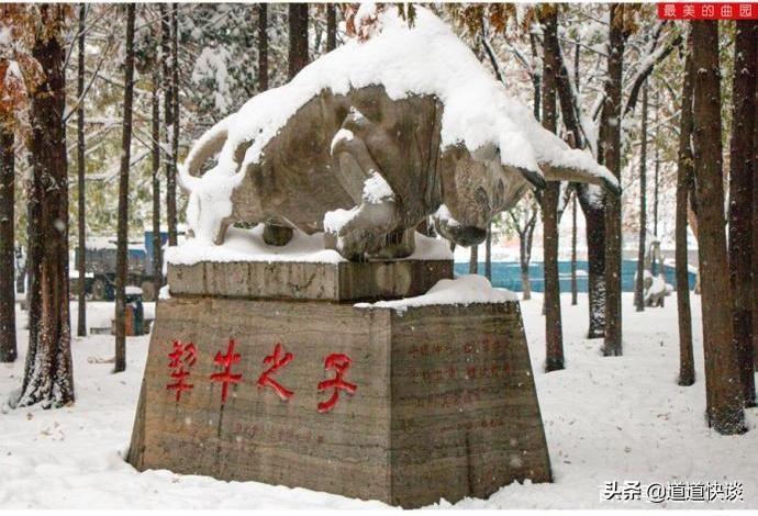 考研神校曲阜师范大学,考研神校是真实的吗