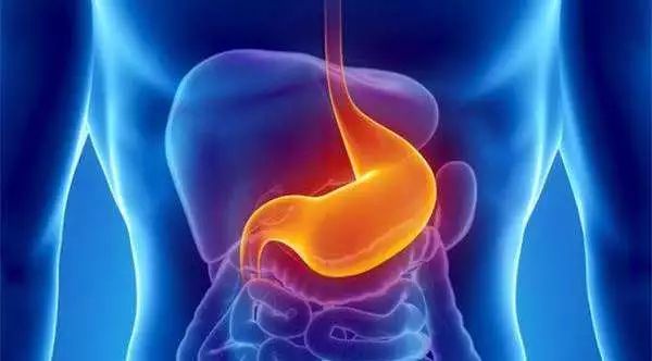 胃寒胃痛的人怎么调理,胃寒胃痛食疗食谱