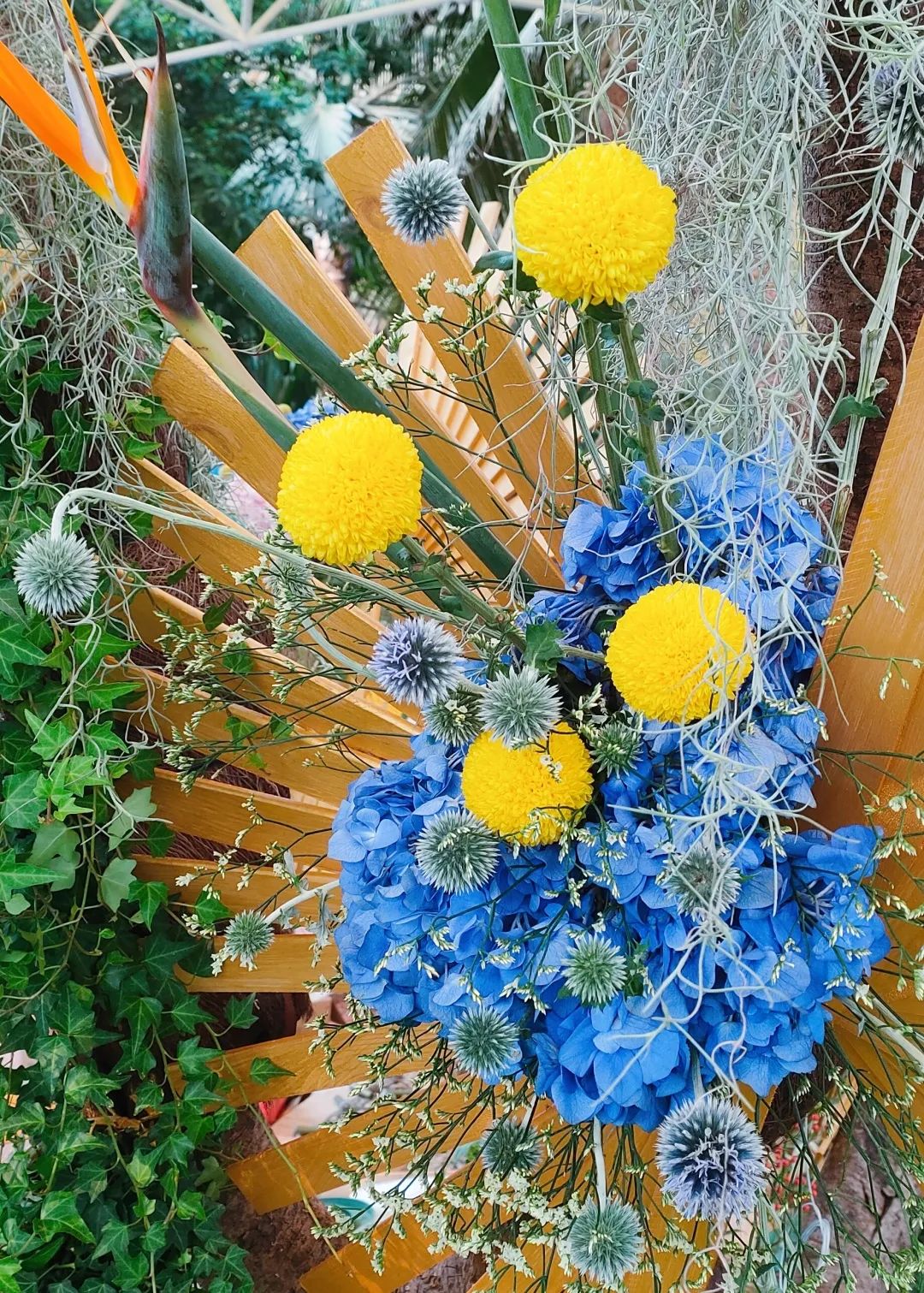 广州花海最新视频,广州花海大片蔚为壮观