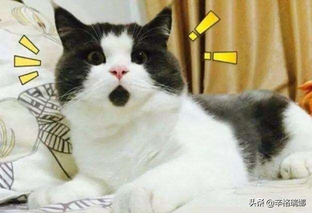 副业收入超过主业上班族,上班族想副业收入过万有什么诀窍