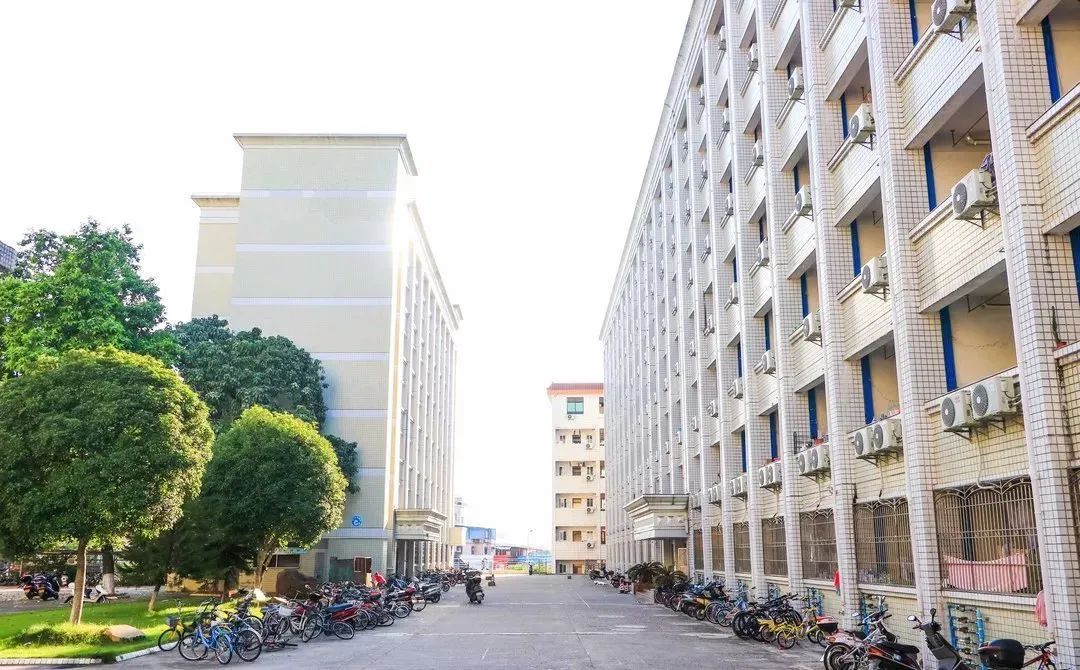 高职高考嘉应学院技能考试,梅州嘉应学院高职高考分数排名