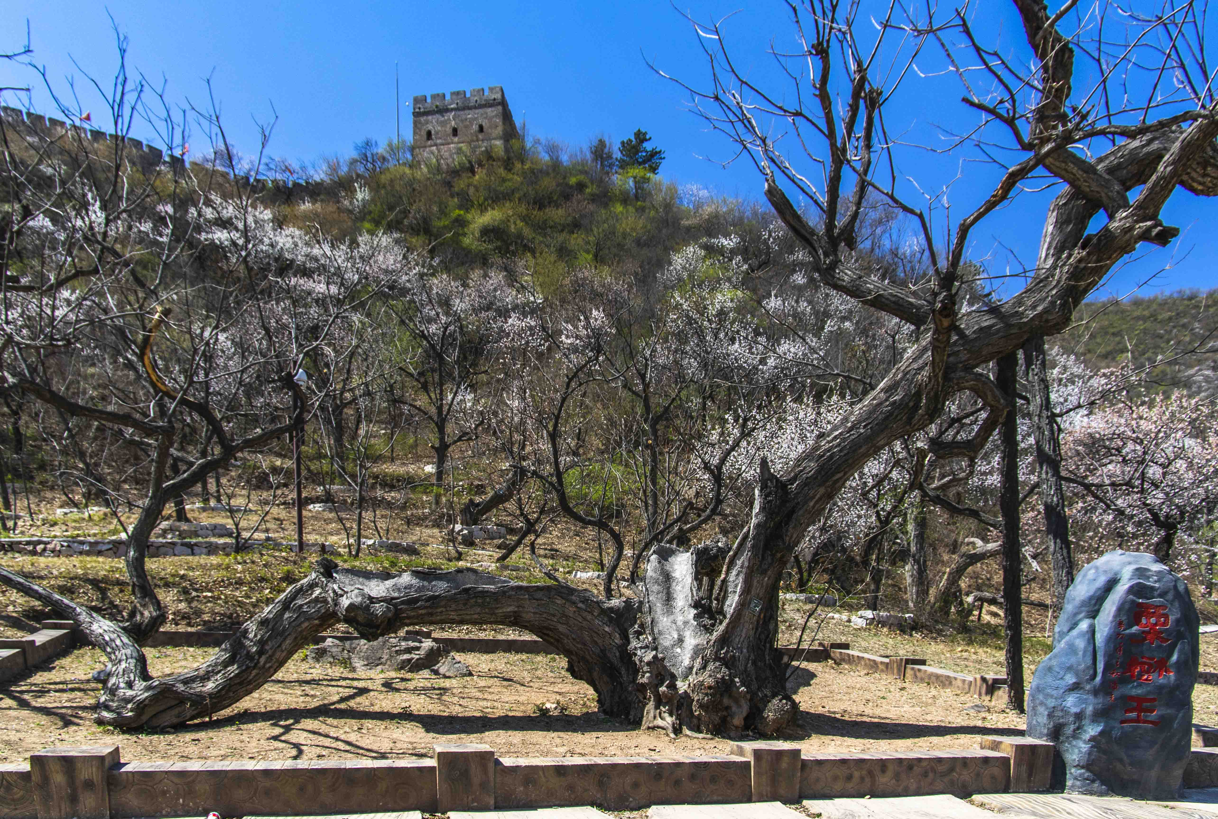 塞外江南处处是美景,塞外风光江南水乡