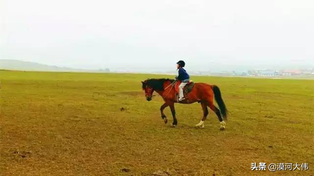 森林草原自驾游,森林亲子旅游攻略图片大全