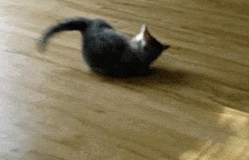 精神性疾病狂躁症,癔症性精神疾病