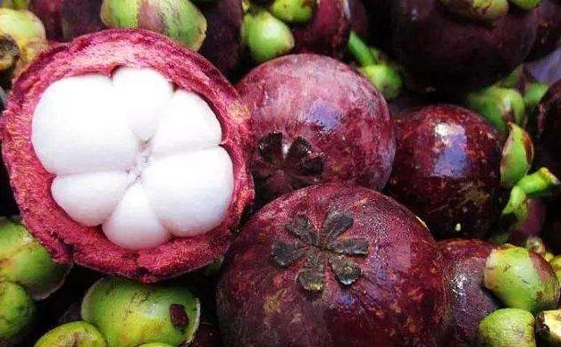 在超市买的山竹都是坏的怎么处理,吃货必学的挑选新鲜山竹的小妙招