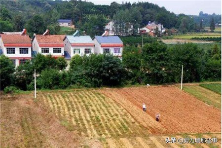 一亩等于多少米是什么概念,一亩等于多少平方米土地怎么算