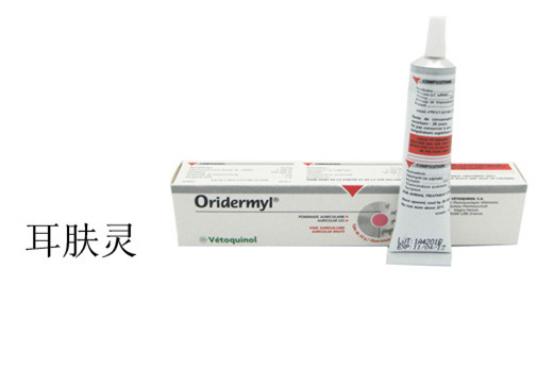 猫咪耳螨严重应该如何处理,猫咪耳螨比较严重怎么办