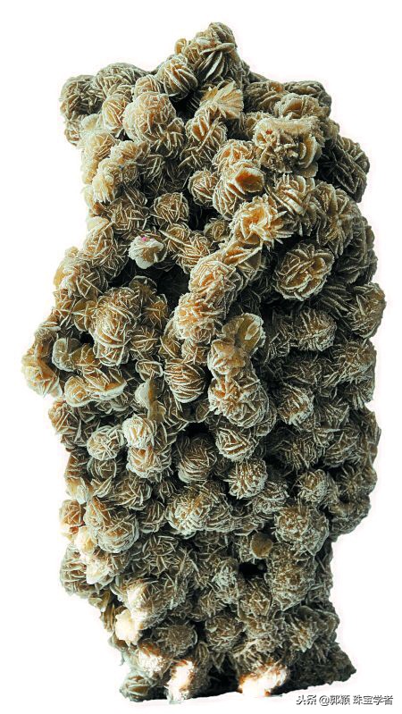 寒冷冬日，让那些永不凋零的“石头花”来温暖你