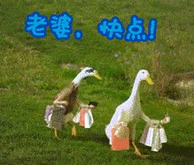 都匀今晚有烟花晚会吗,都匀焰火演唱会