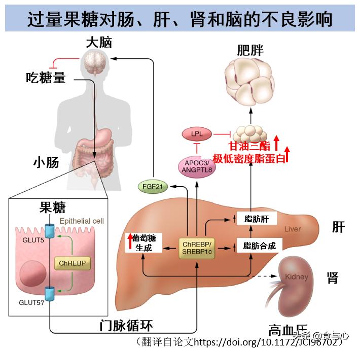 一周健康晚餐备菜,成年人一周七天营养晚餐