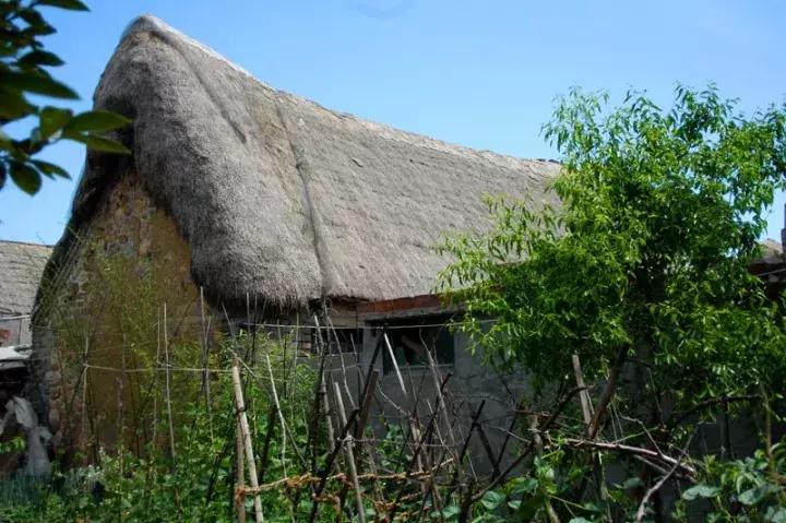 威海景点免费开放,威海拥军卡景点免费