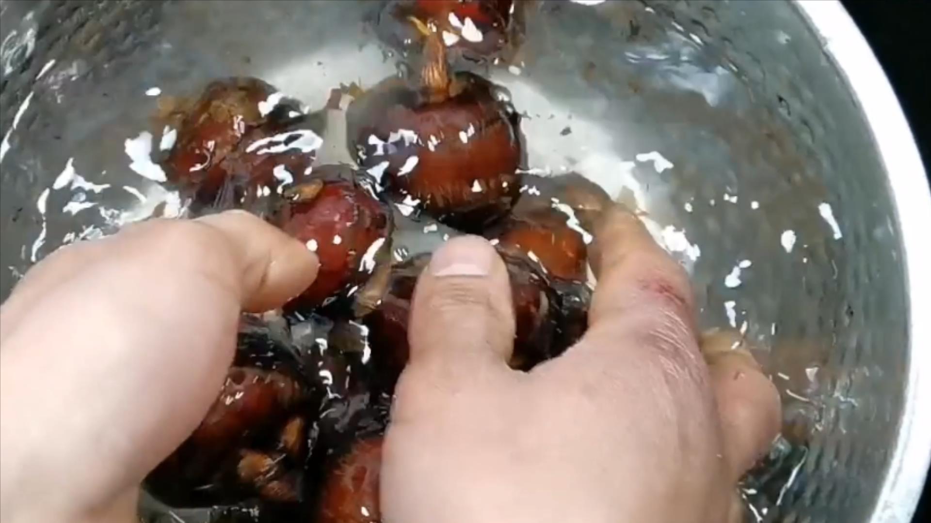 蔬菜中寄生虫的种类和危害,三种蔬菜防止寄生虫