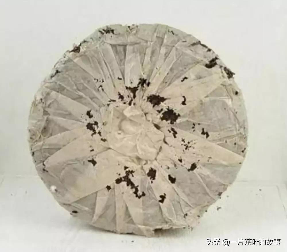 有茶虫的茶叶好吗,如何看茶叶是否有茶虫病