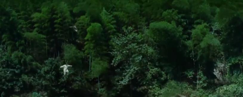 卧虎藏龙恋爱,卧虎藏龙理智与情感