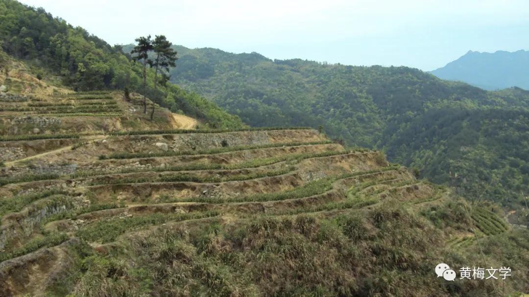 黄冈黄梅山区,黄梅县大山