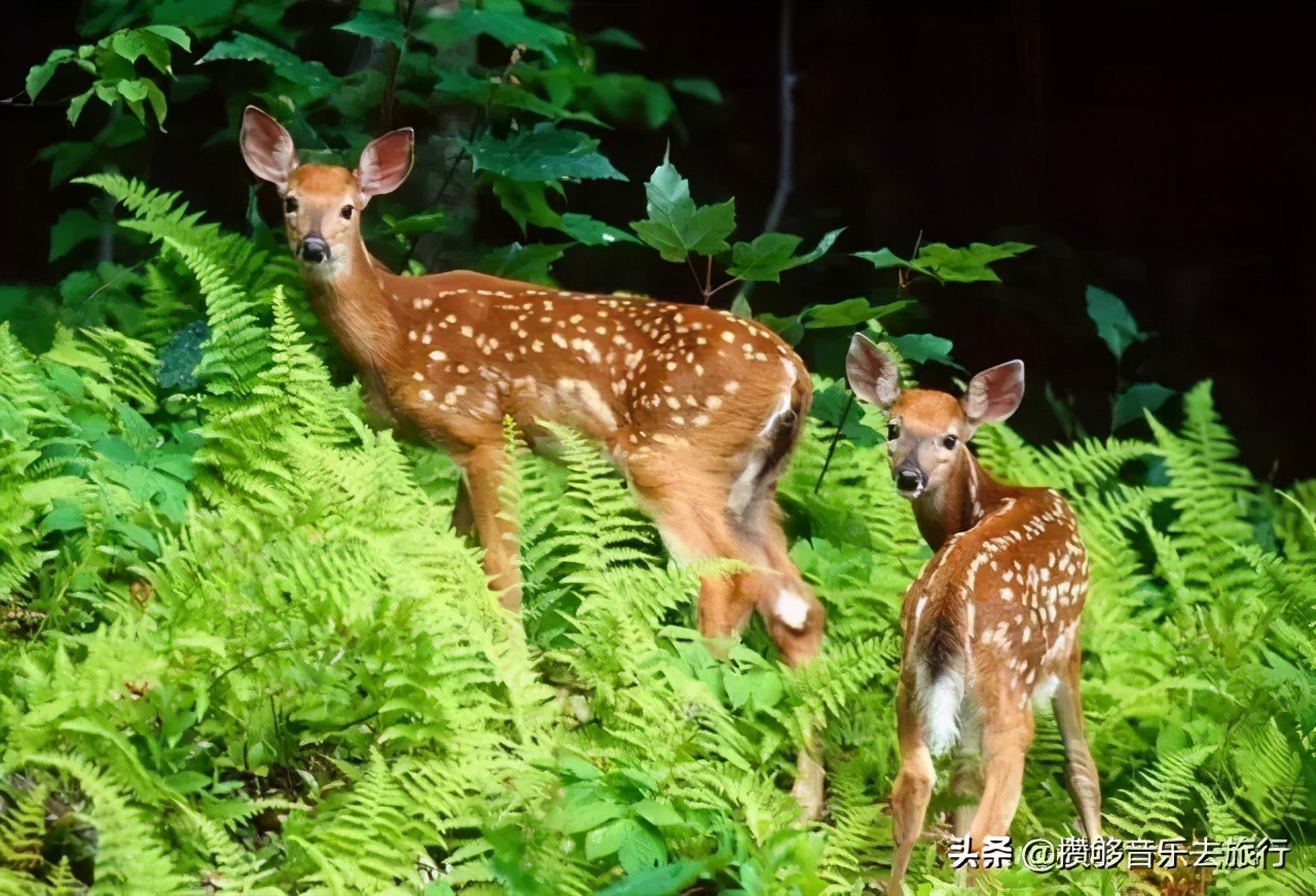 甘孜欢迎您,四川甘孜州欢迎您