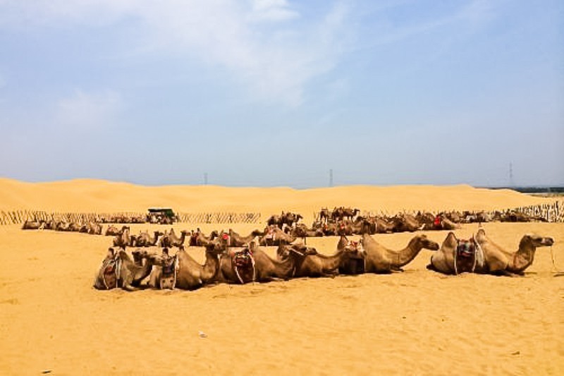 2022库布齐沙漠比赛时间,库布齐沙漠徒步全部视频