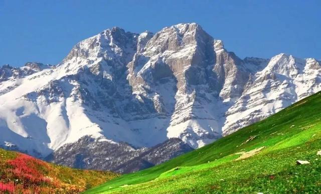 中国护照越来越值钱,中国护照免签2024汇总