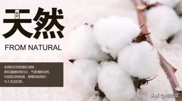 蝴蝶堂内衣面料配方,蝴蝶堂内衣