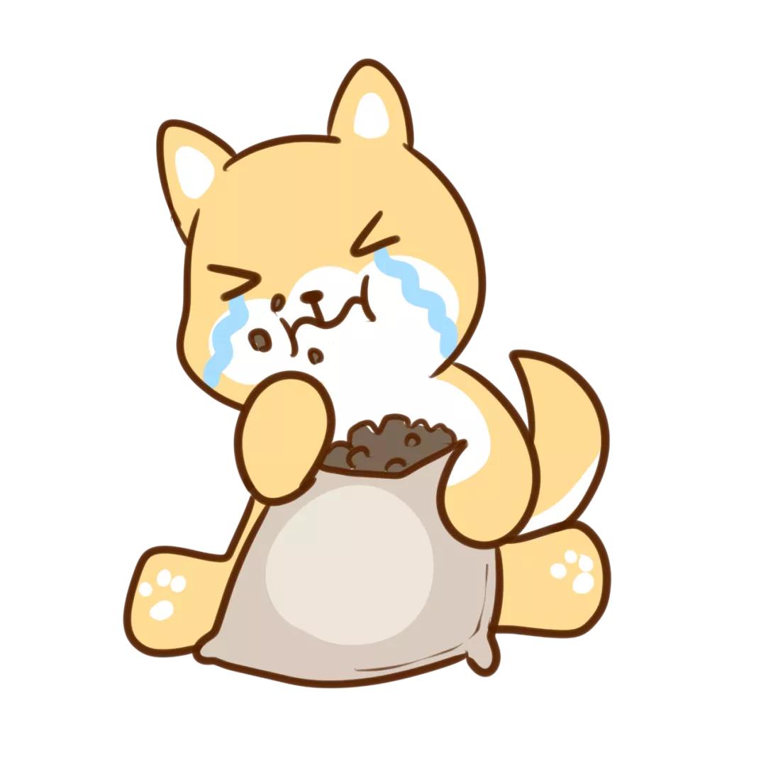 双11单身狗粮,单身狗粮