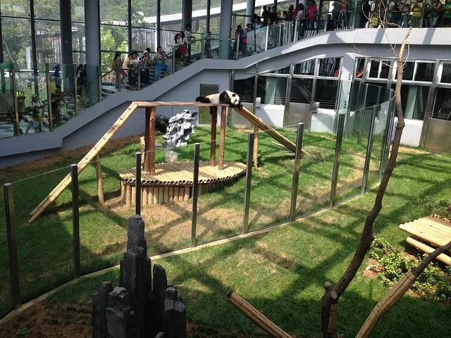 大连旅游攻略精致景点推荐,大连必去的打卡景点