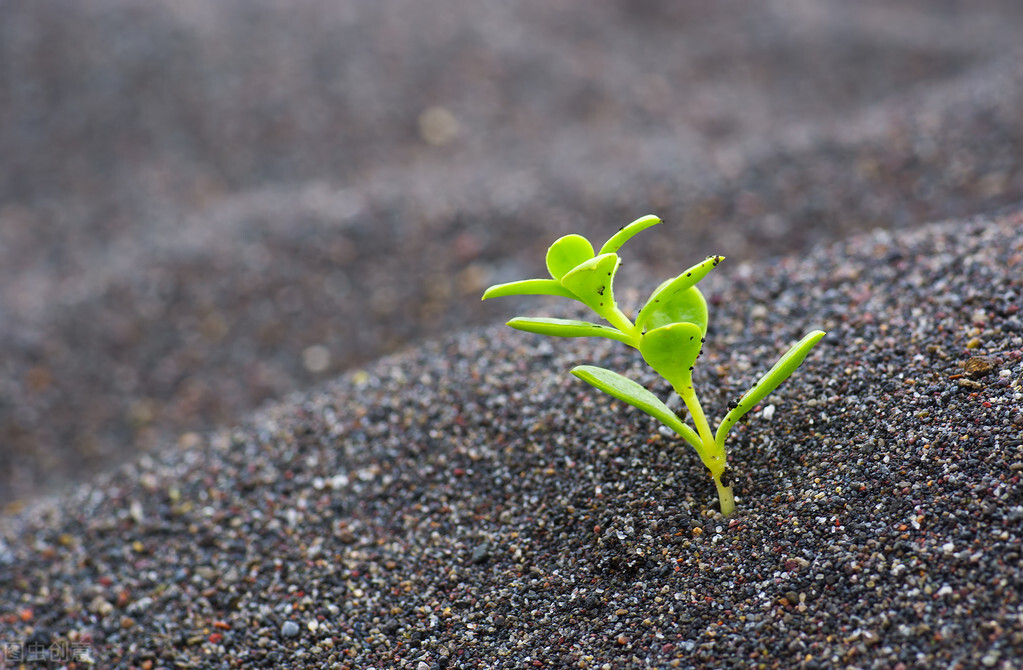 善良的人都很晚熟,本性善良的人晚熟