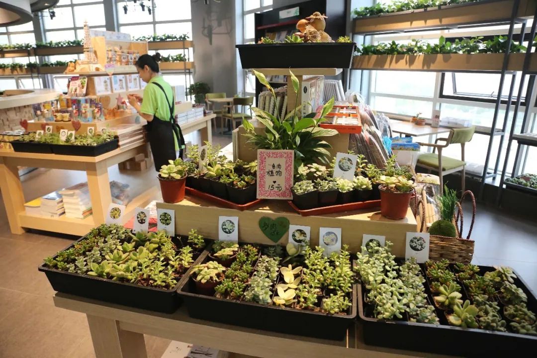 为什么现在的书店越来越少了,中国各实体书店介绍