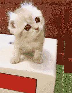 搞笑时刻心情变好,搞笑时刻大家开心就好