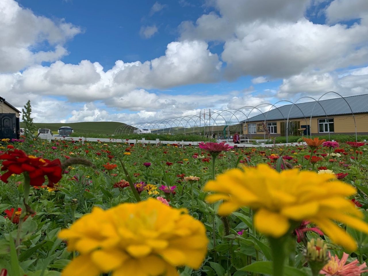 盛夏之旅美丽呼伦贝尔 (呼伦贝尔金秋之旅)