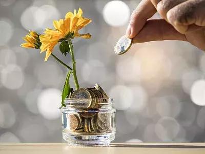 银湖网熊猫金库案件汇总,熊猫金库银湖网