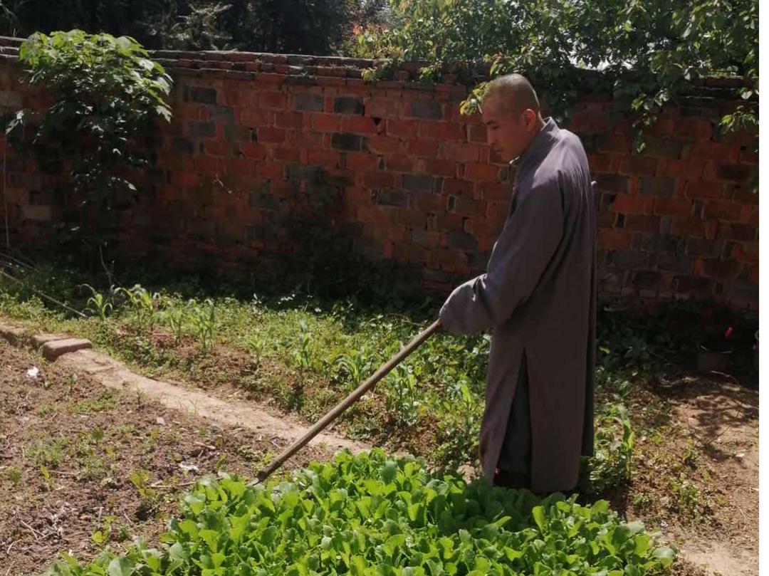 抢抓农时开展农业生产,农民纷纷抢抓春耕生产有利时机