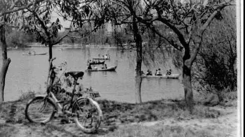 最美的西安兴庆公园,西安兴庆公园一道美丽的风景线