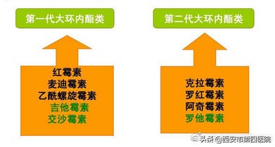 产后哺乳期避孕、产妇用药注意事项