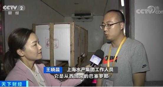 顶级蓝鳍金枪鱼美食,进博探营美食攻略